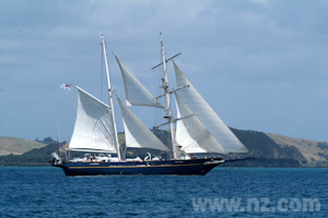 Sailing experience from Paihia